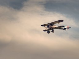 Modelle unserer Mitglieder